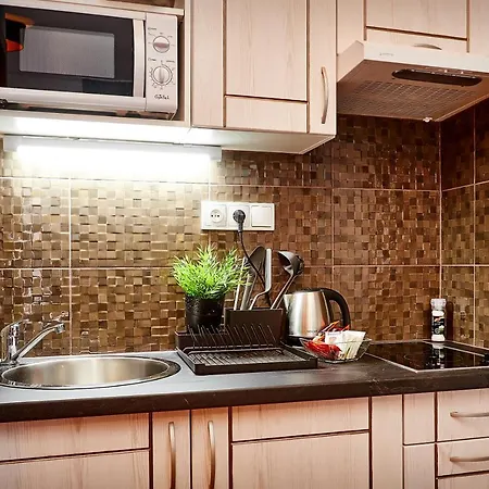 Apartment Vaclavska *